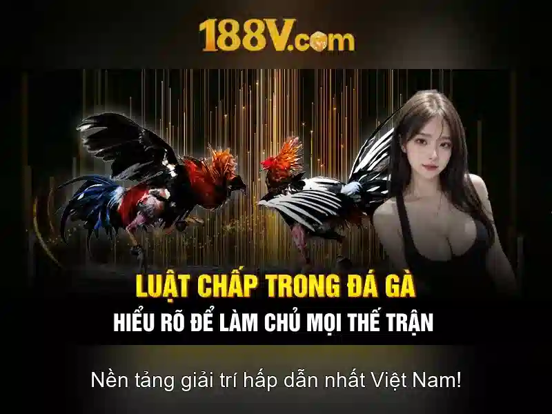 Phân tích RTP và biến động 